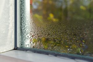 window-with-condensation